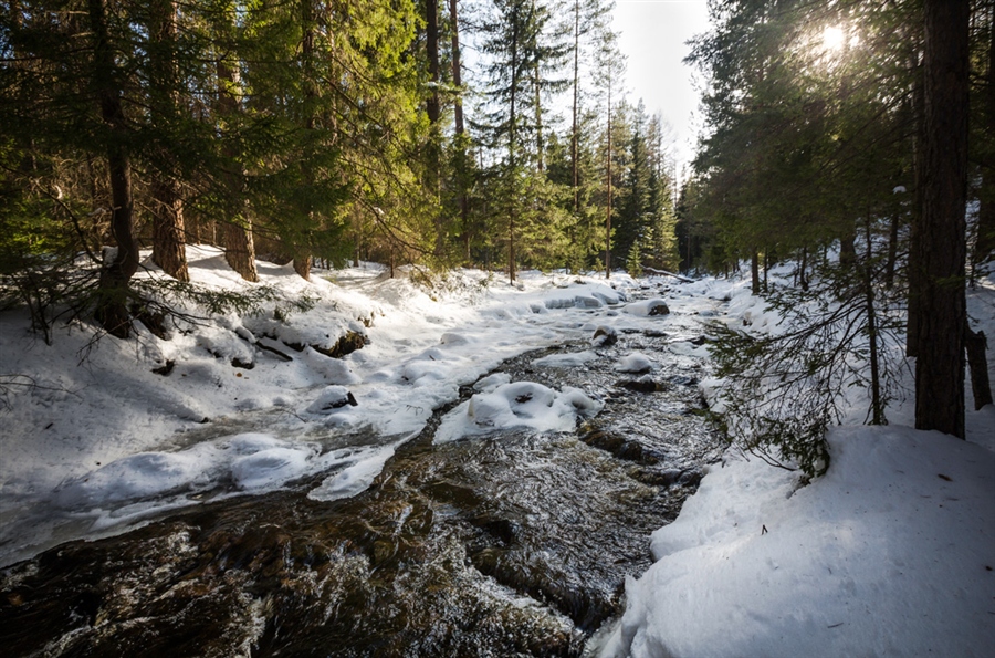 Фото жизнь