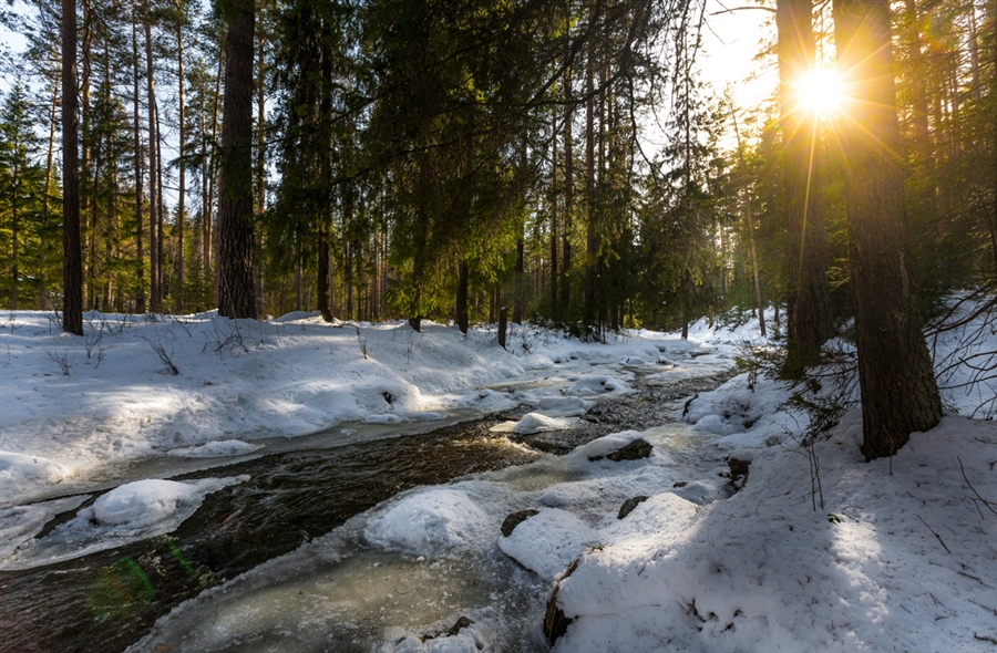 Фото жизнь