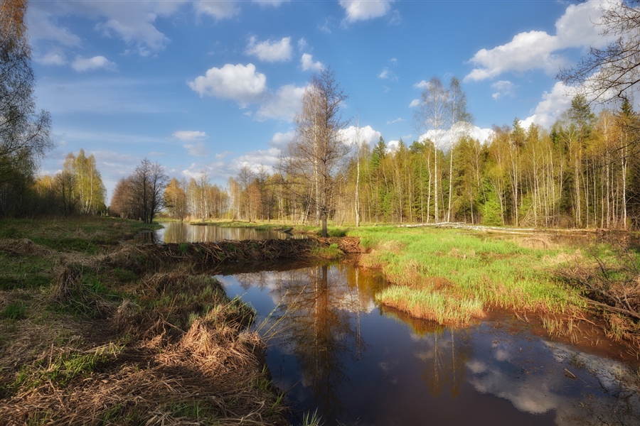 Фото жизнь