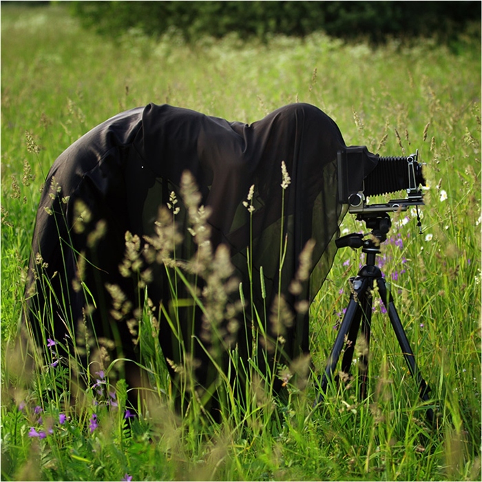 Фото жизнь (light) - ABM-NEW - PLEIN AIR - *