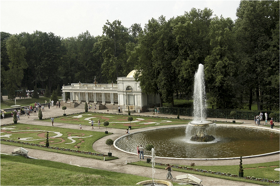 Фото жизнь