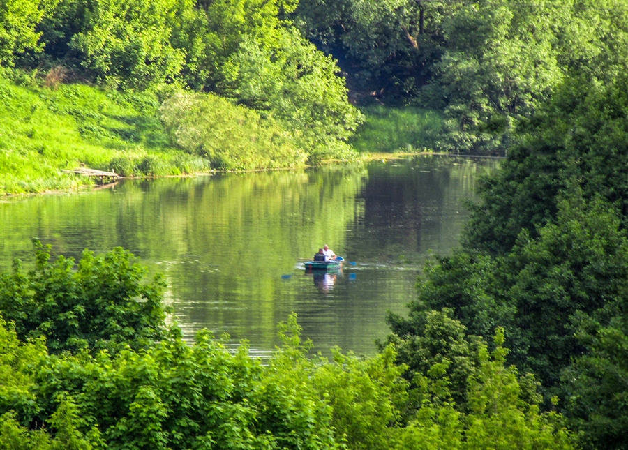 Фото жизнь