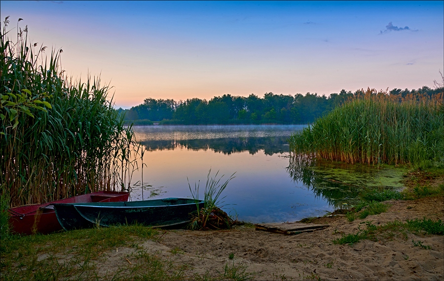 Фото жизнь