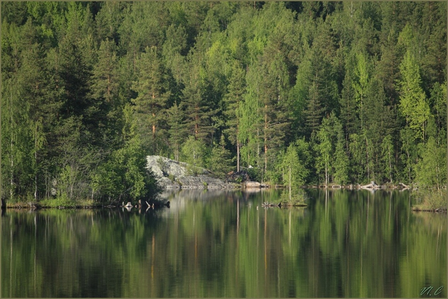 Фото жизнь