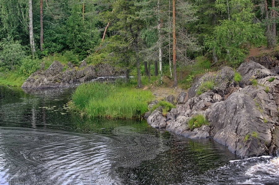 Фото жизнь