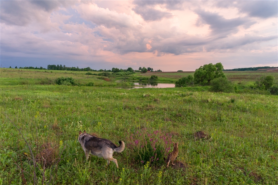 Фото жизнь