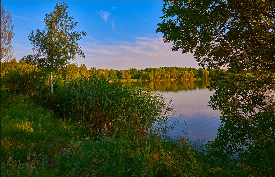 Фото жизнь