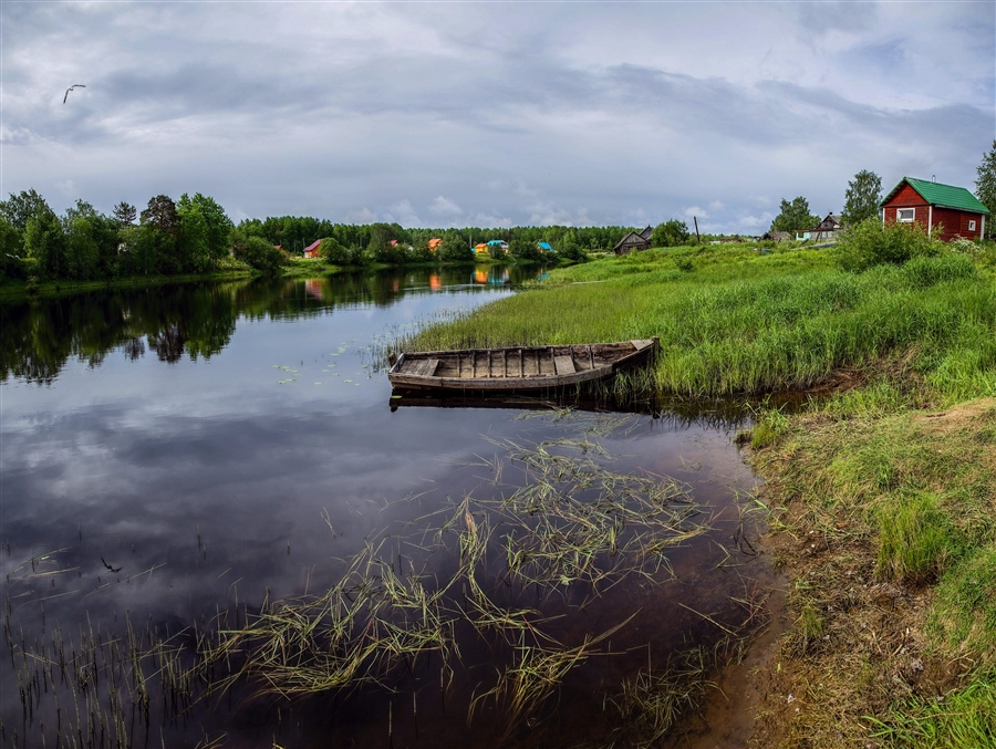 Фото жизнь