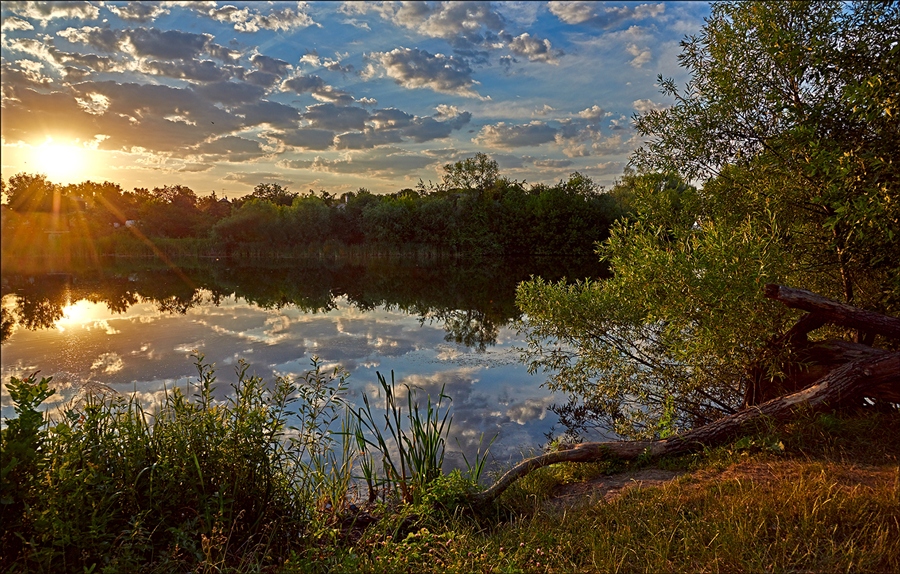 Фото жизнь