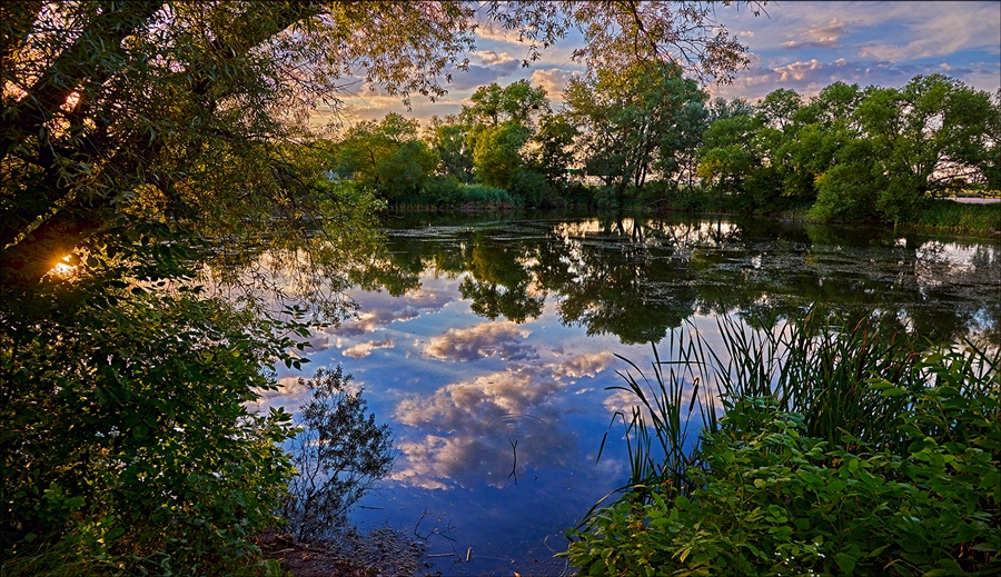 Фото жизнь