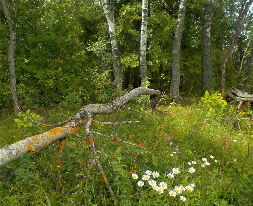 Фото жизнь