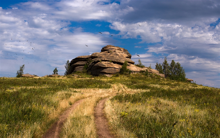 Фото жизнь
