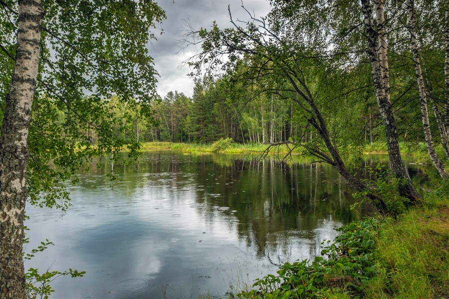Фото жизнь