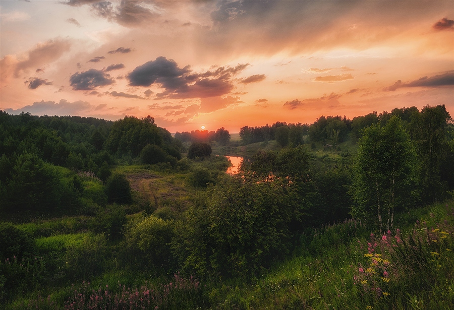 Фото жизнь
