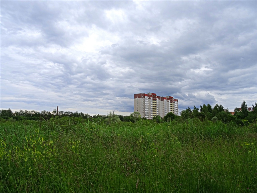 Фото жизнь