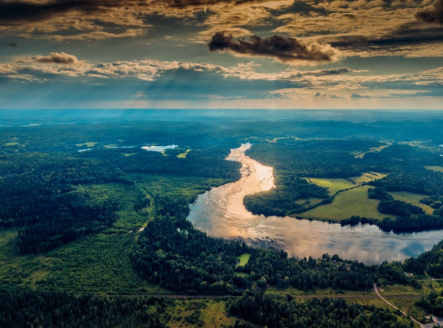 Фото жизнь