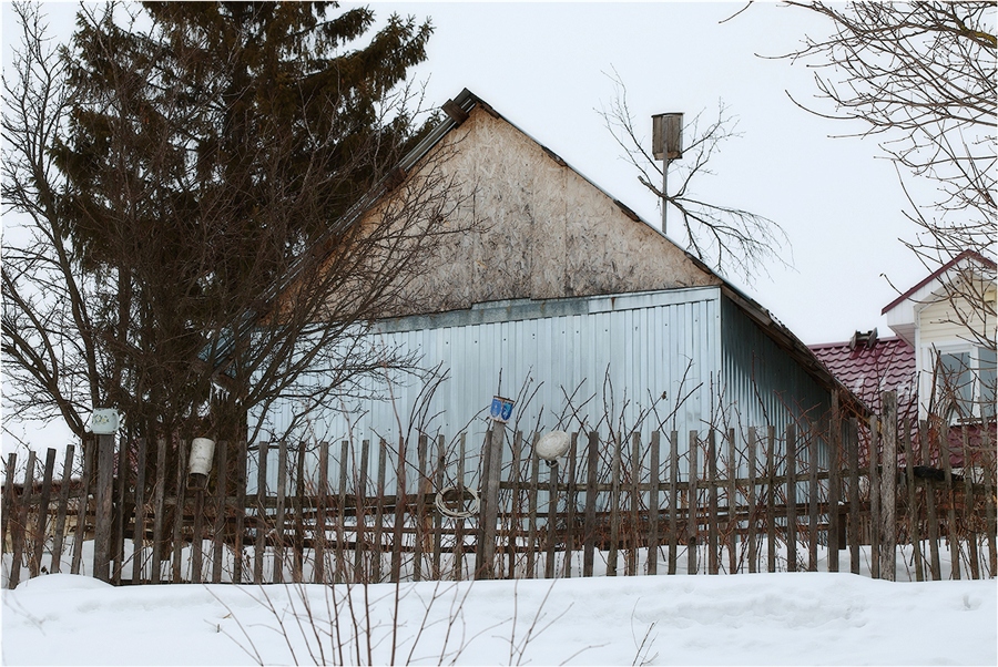 Фото жизнь
