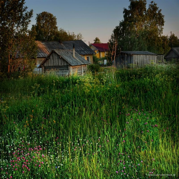 Фото жизнь