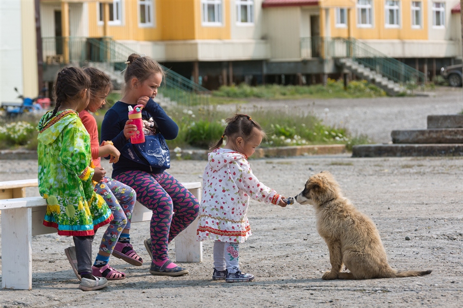 Фото жизнь