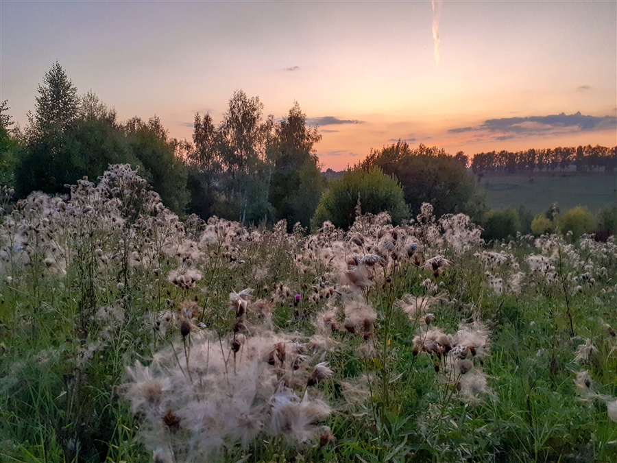 Фото жизнь