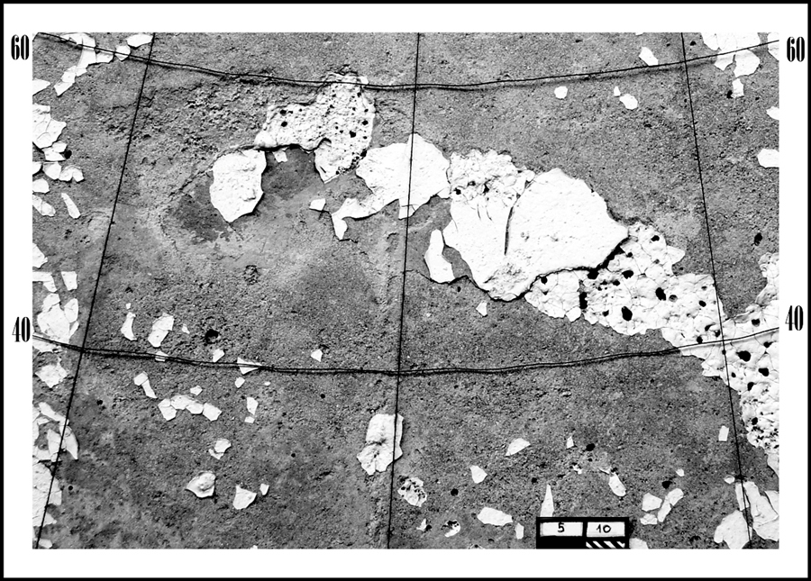 Фото жизнь (light) - Юрий Буров - 2 - ***