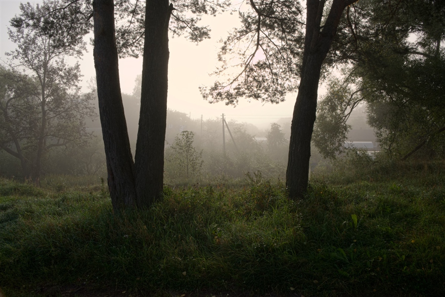 Фото жизнь (light) - Дмитрий Павлов - корневой каталог - Туманным утром 22