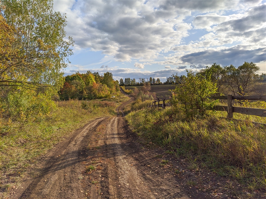 Фото жизнь