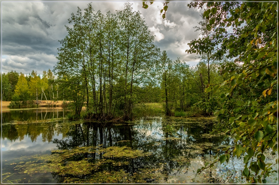 Фото жизнь