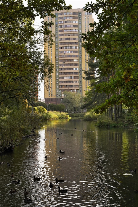Фото жизнь