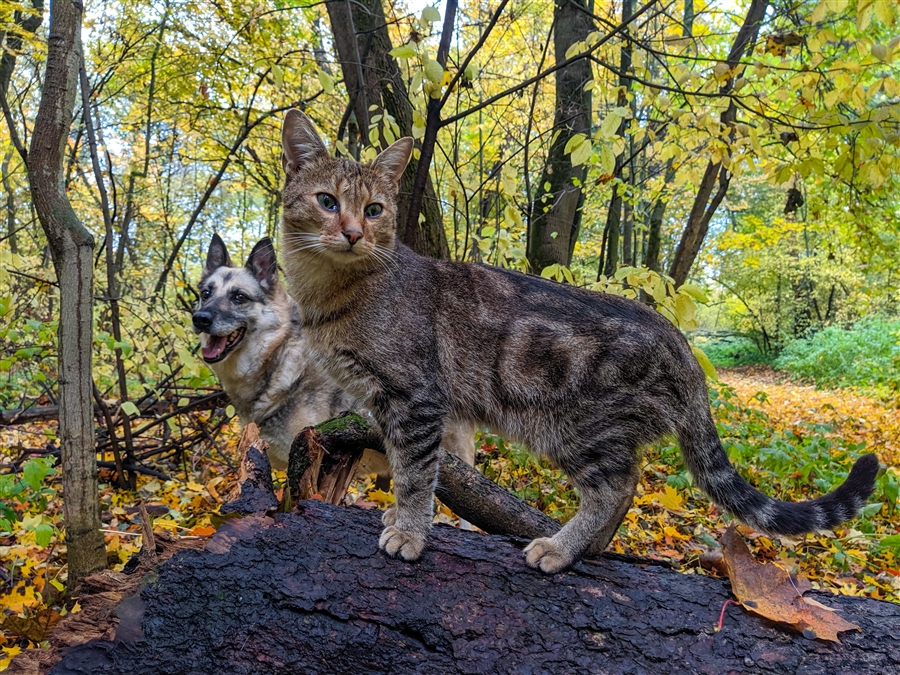 Фото жизнь