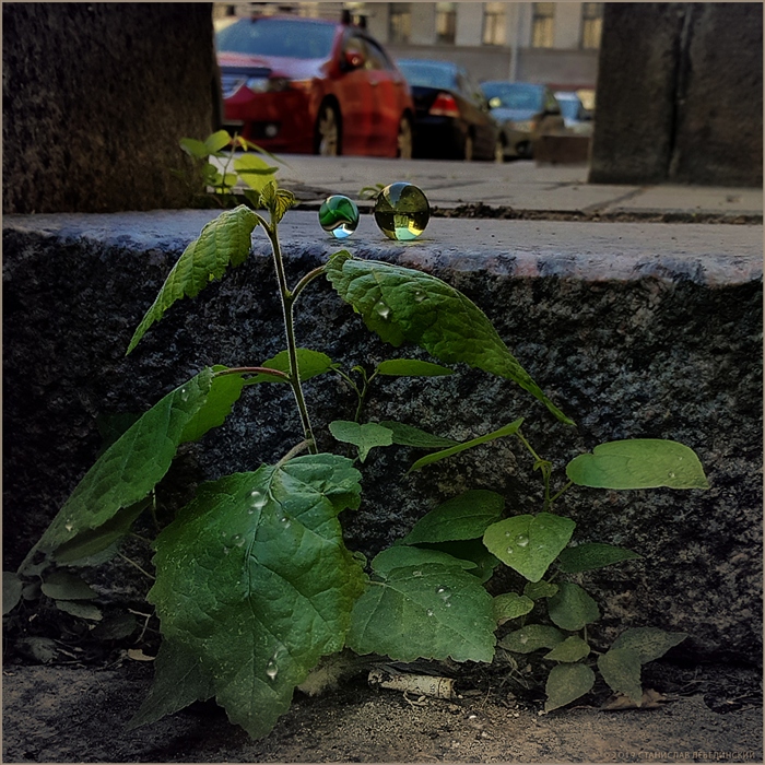 Фото жизнь