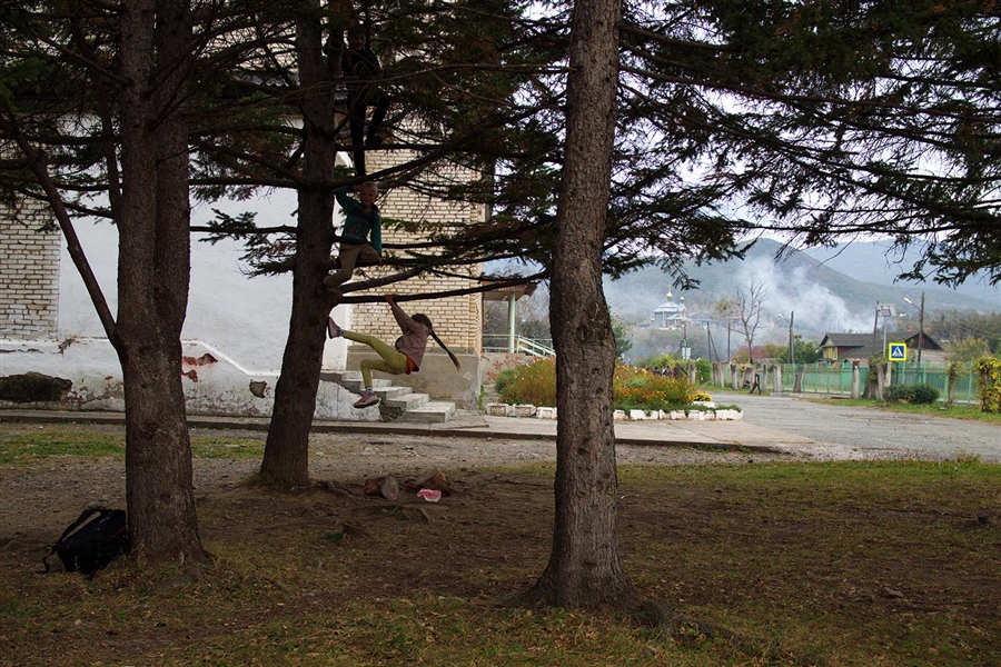 Фото жизнь