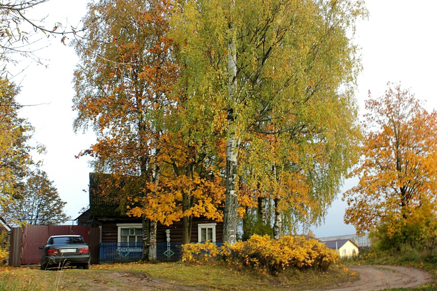 Фото жизнь