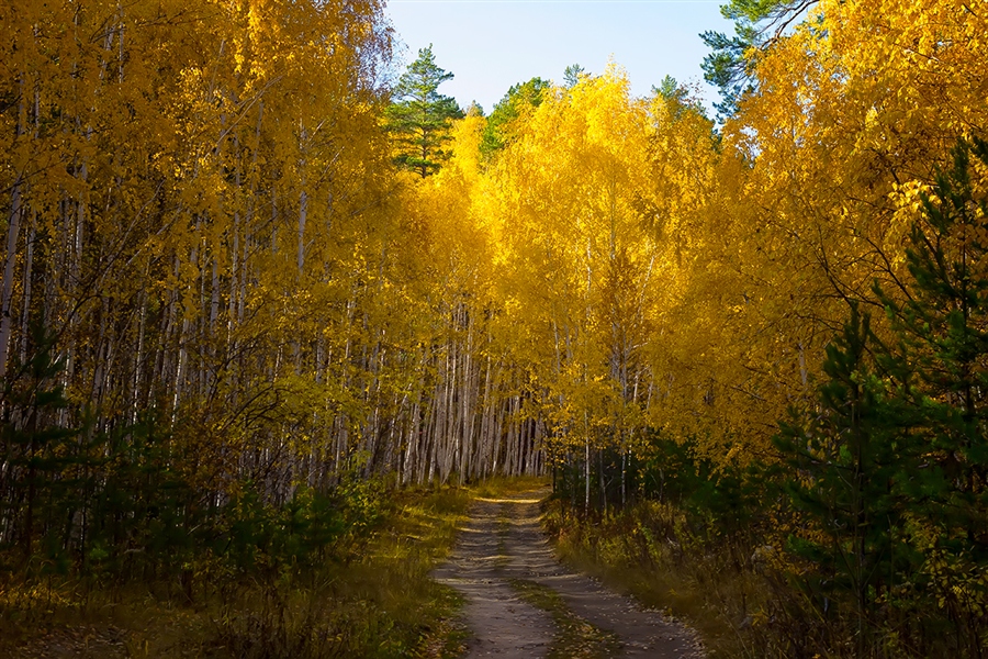 Фото жизнь