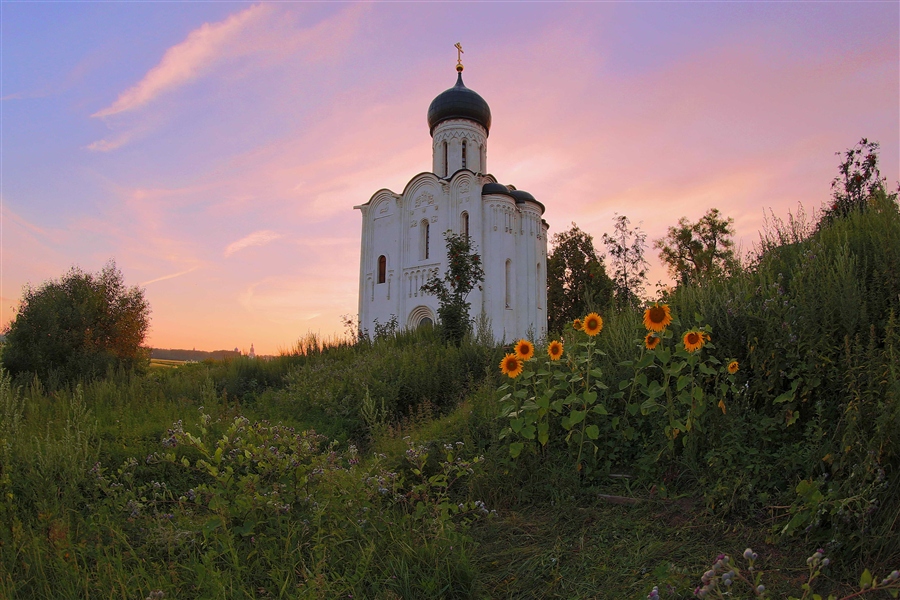 Фото жизнь