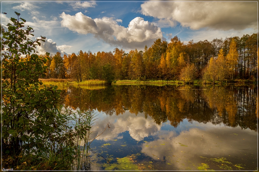 Фото жизнь