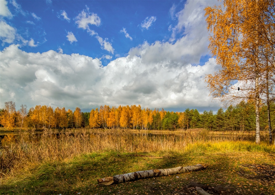 Фото жизнь