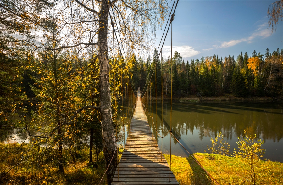 Фото жизнь