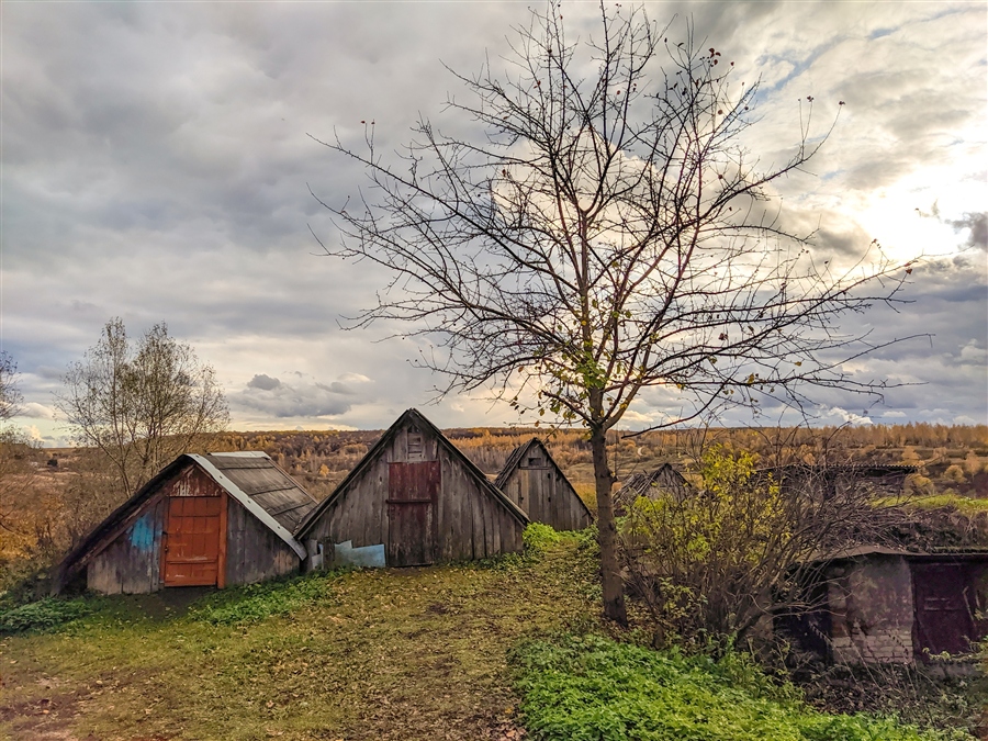 Фото жизнь