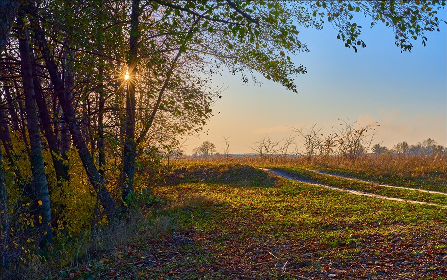 Фото жизнь