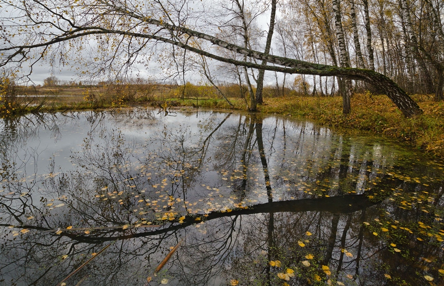 Фото жизнь