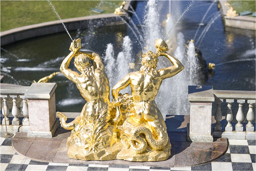 Фото жизнь