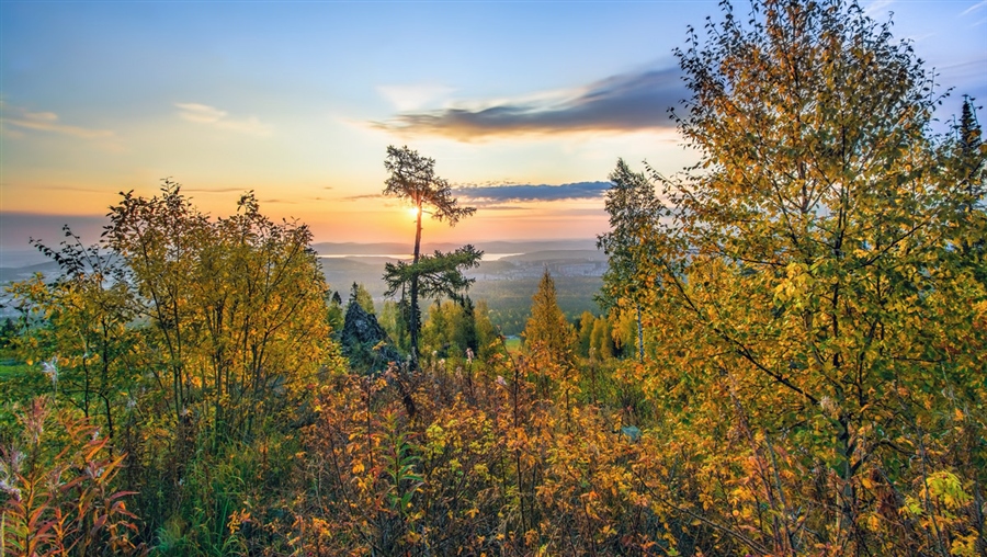 Фото жизнь
