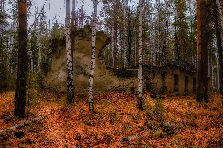 Фото жизнь