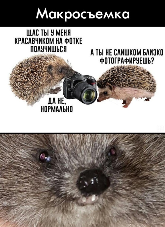 ?¤??N??? ?¶???·??N?