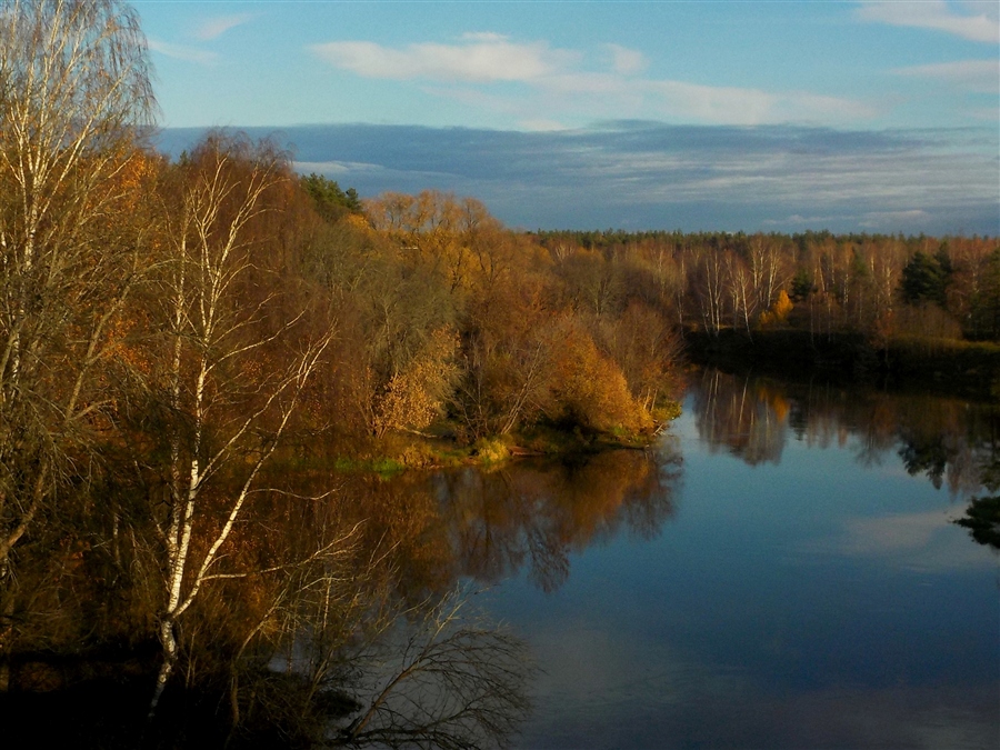 Фото жизнь