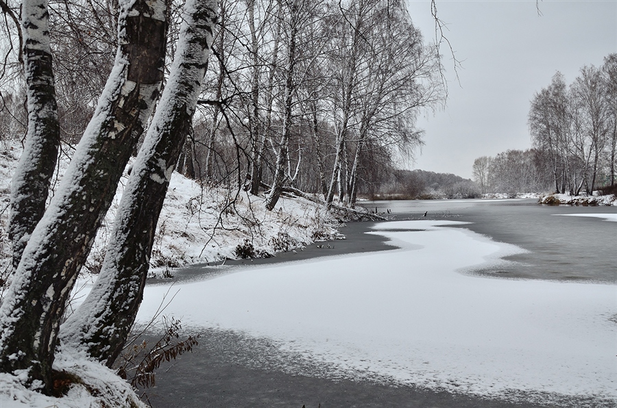 Фото жизнь
