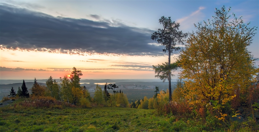 Фото жизнь