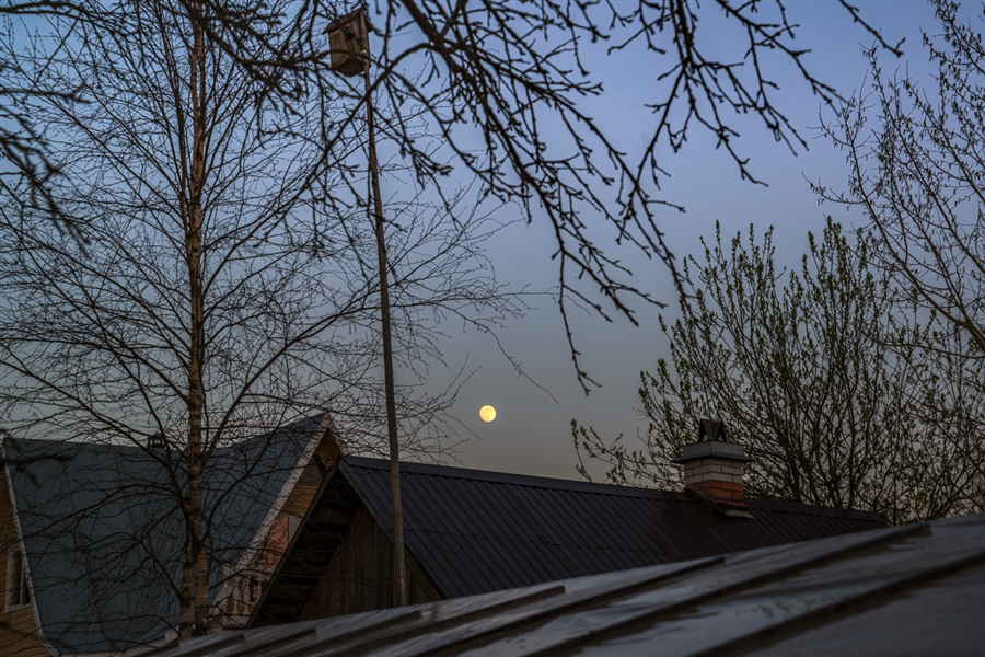 Фото жизнь