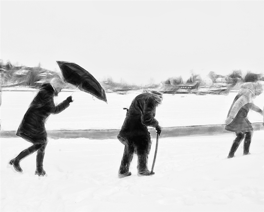 Фото жизнь (light) - михаил  - корневой каталог - по первому снегу( повтор от 2018)